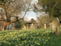 all-saints-graveyard-flowers-mc