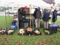 Apple Day on the Green