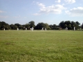 football-green-cricket-af