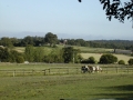 general-landscape-af