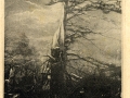 CEDAR