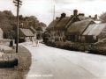 Minstead 010