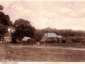 EPSON MFP image