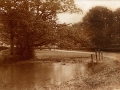 village pond