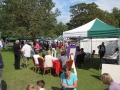 Loom Band Stall - Minstead 2014 Village Fete